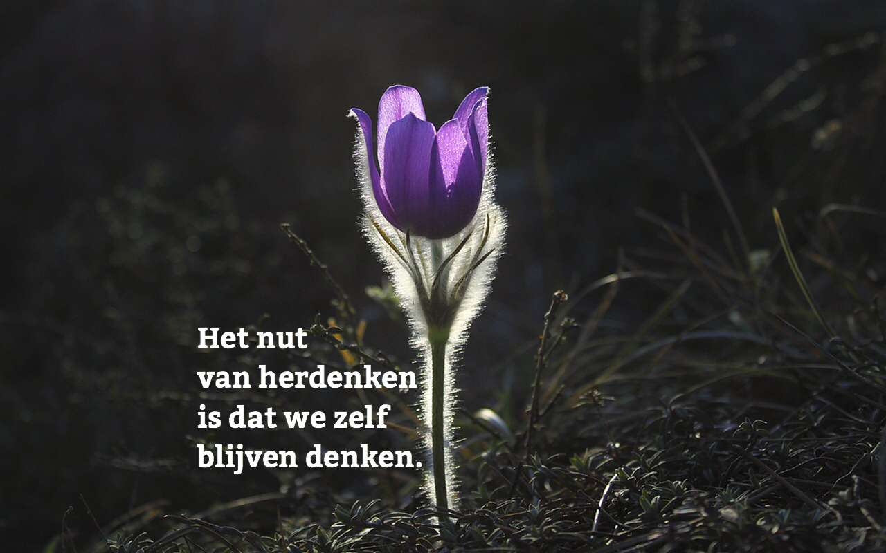 herdenken|herdenken is heel belangrijk|||
